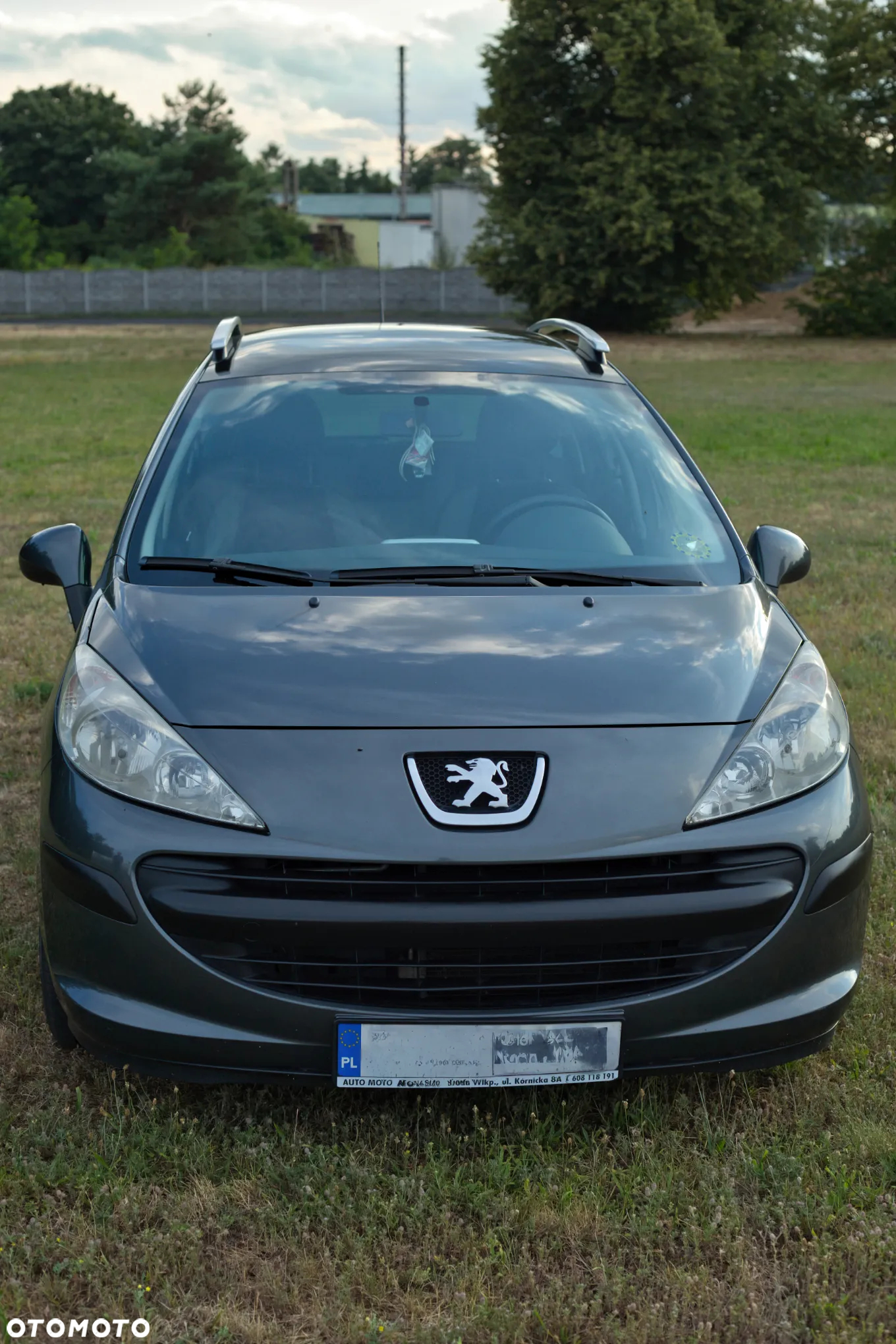Peugeot 207 - 3