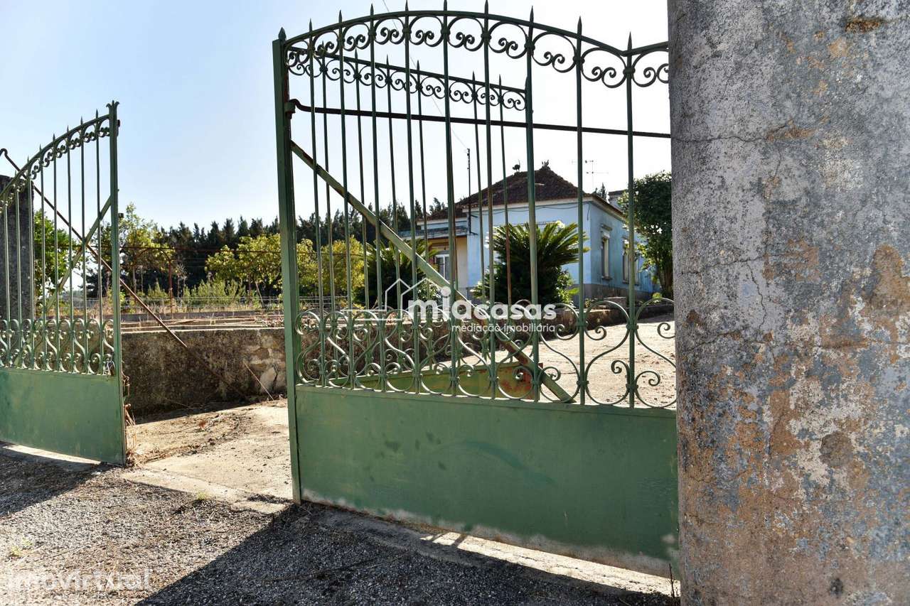 QUINTA COM MORADIA T3 ISOLADA - Grande imagem: 2/30