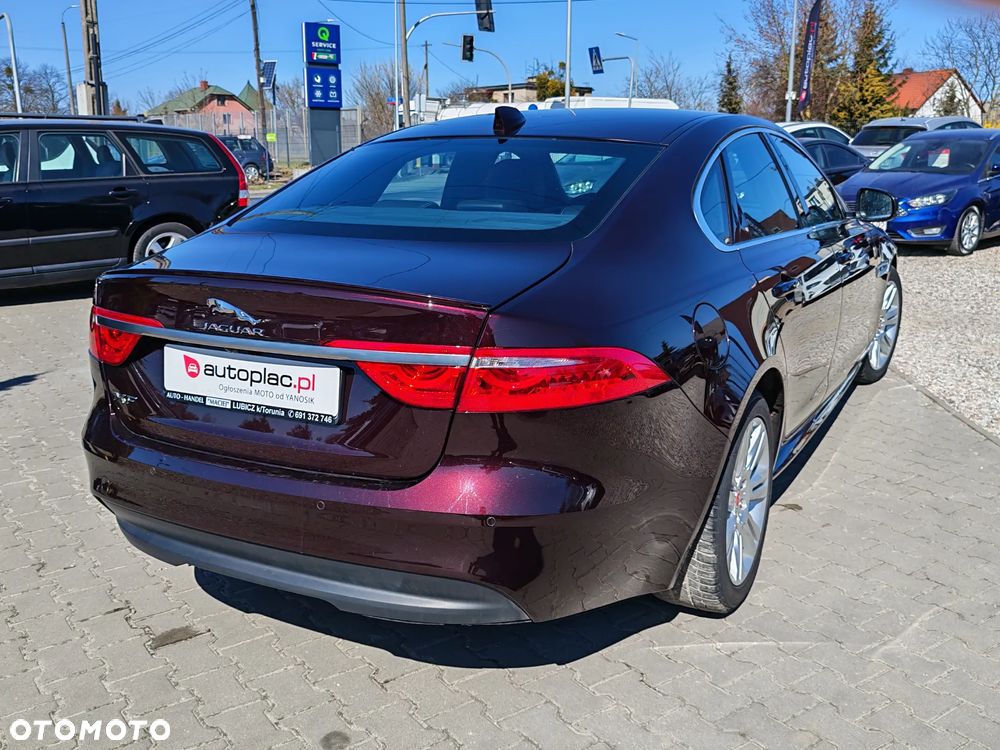 Jaguar XF E-Performance Pure - 7