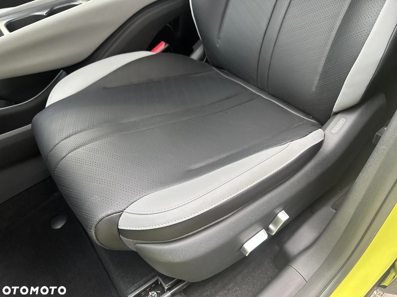 BYD Dolphin Surf - 14