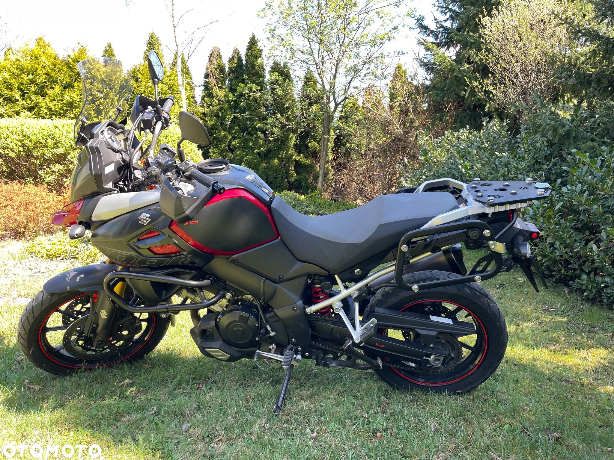 Suzuki DL