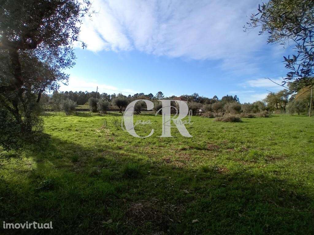 Excelente terreno para construção com cerca de 3.400m2 em Aguda - Figu - Grande imagem: 2/14