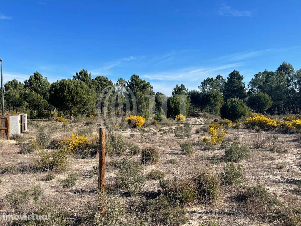 Terreno no Muda Reserve, Comporta - Grande imagem: 2/20