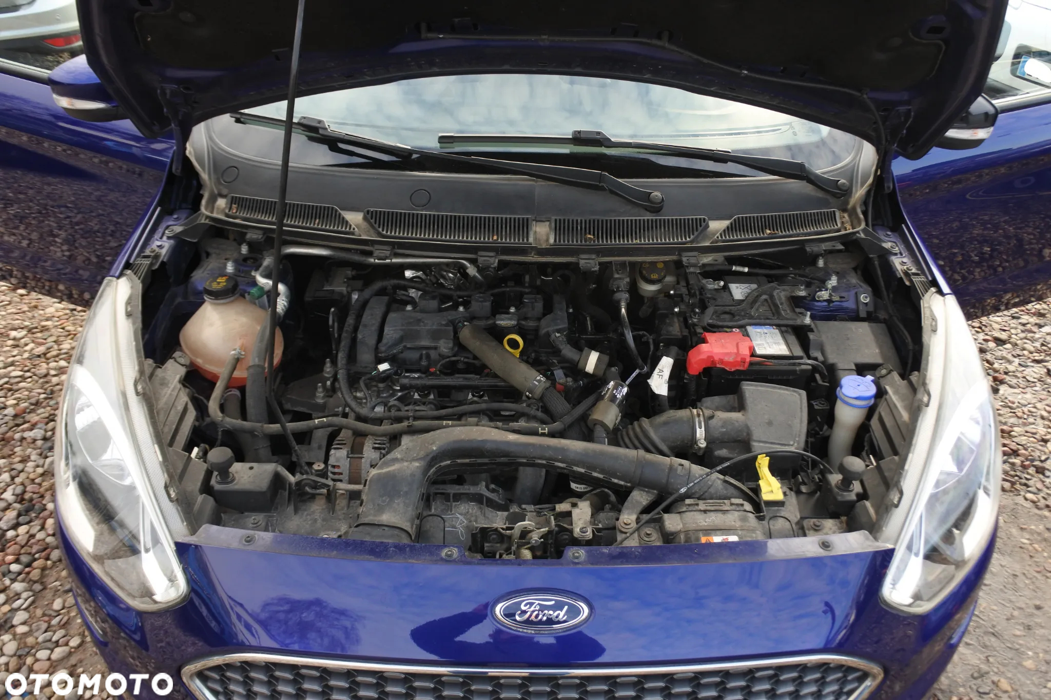 Ford Ka+ 1.2 Ti-VCT White Edition - 23