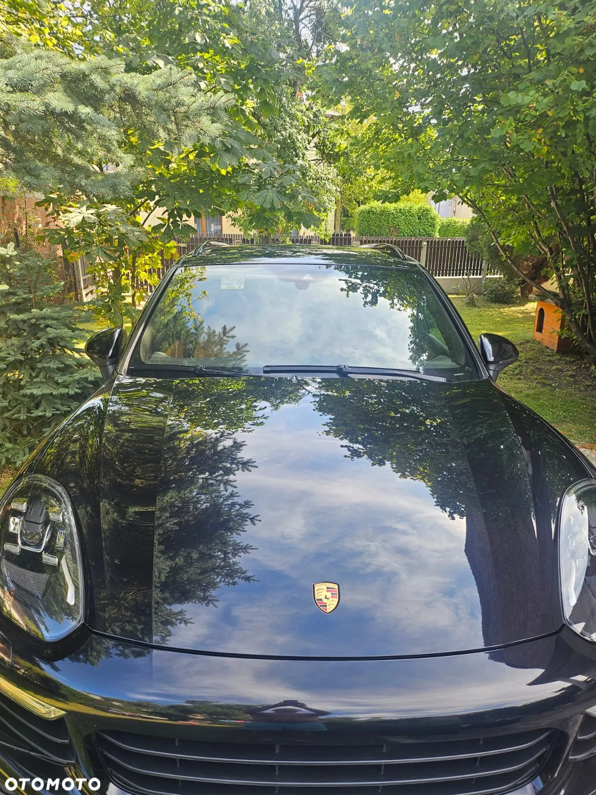 Porsche Cayenne Diesel Platinum Edition - 3