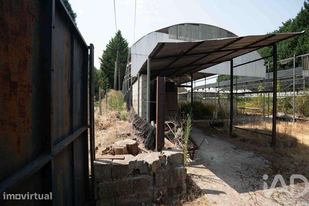 Terreno para construção em Borbela e Lamas de Olo de 2750,00 m2 - Grande imagem: 4/30