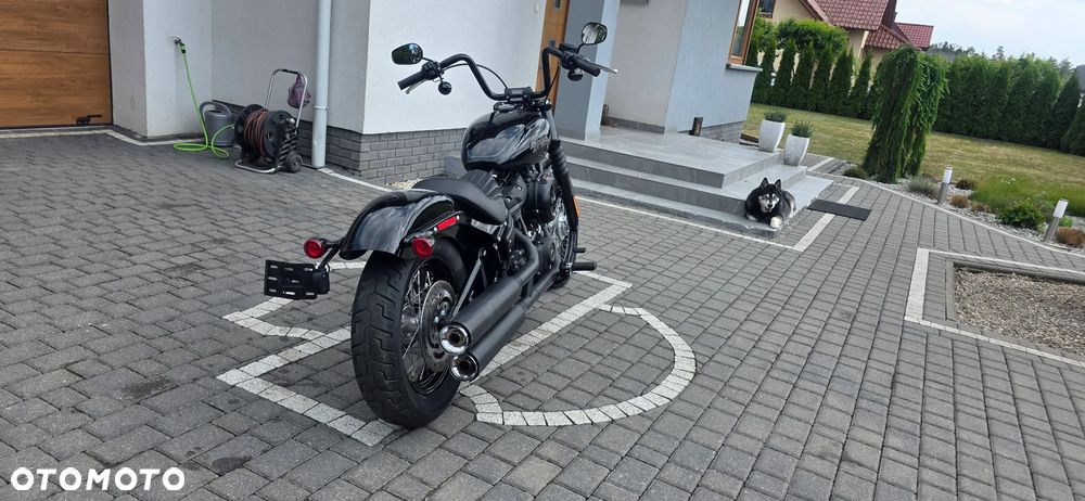 Harley-Davidson Softail Street Bob - 13