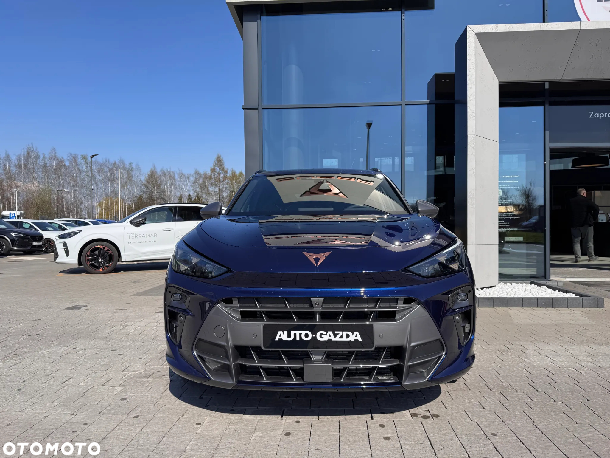Cupra Terramar 1.5 eTSI mHEV DSG - 2