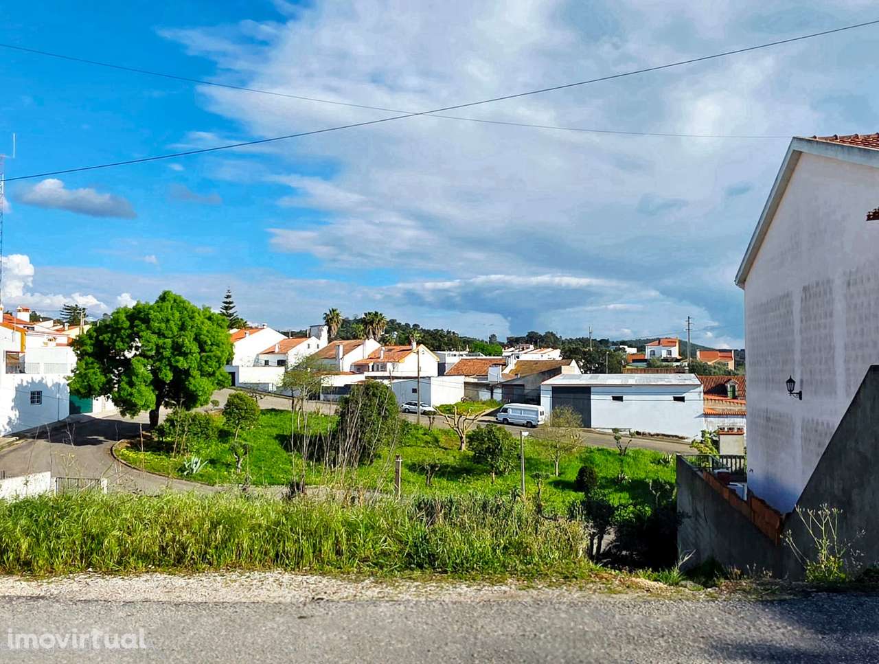 Terreno próximo da Grande Lisboa -  Chamusca - Grande imagem: 4/10