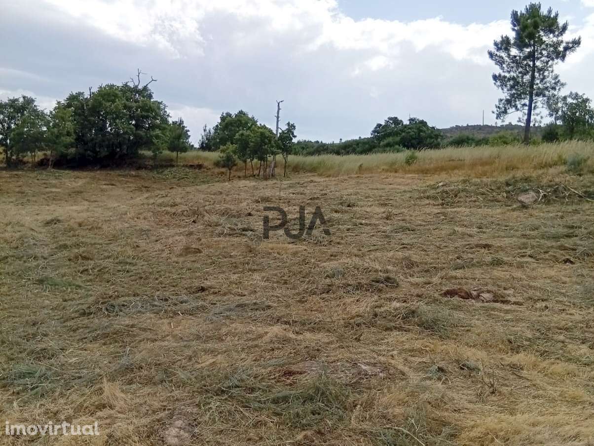 Terreno agrícola em Matança, Fornos de Algodres - Grande imagem: 4/8