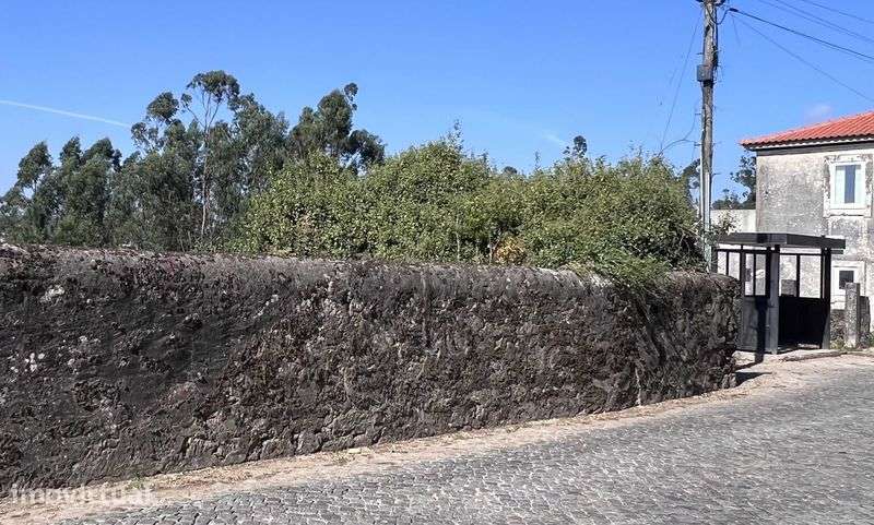 Terreno urbano 850m2 no campo e perto de tudo! - Grande imagem: 4/9