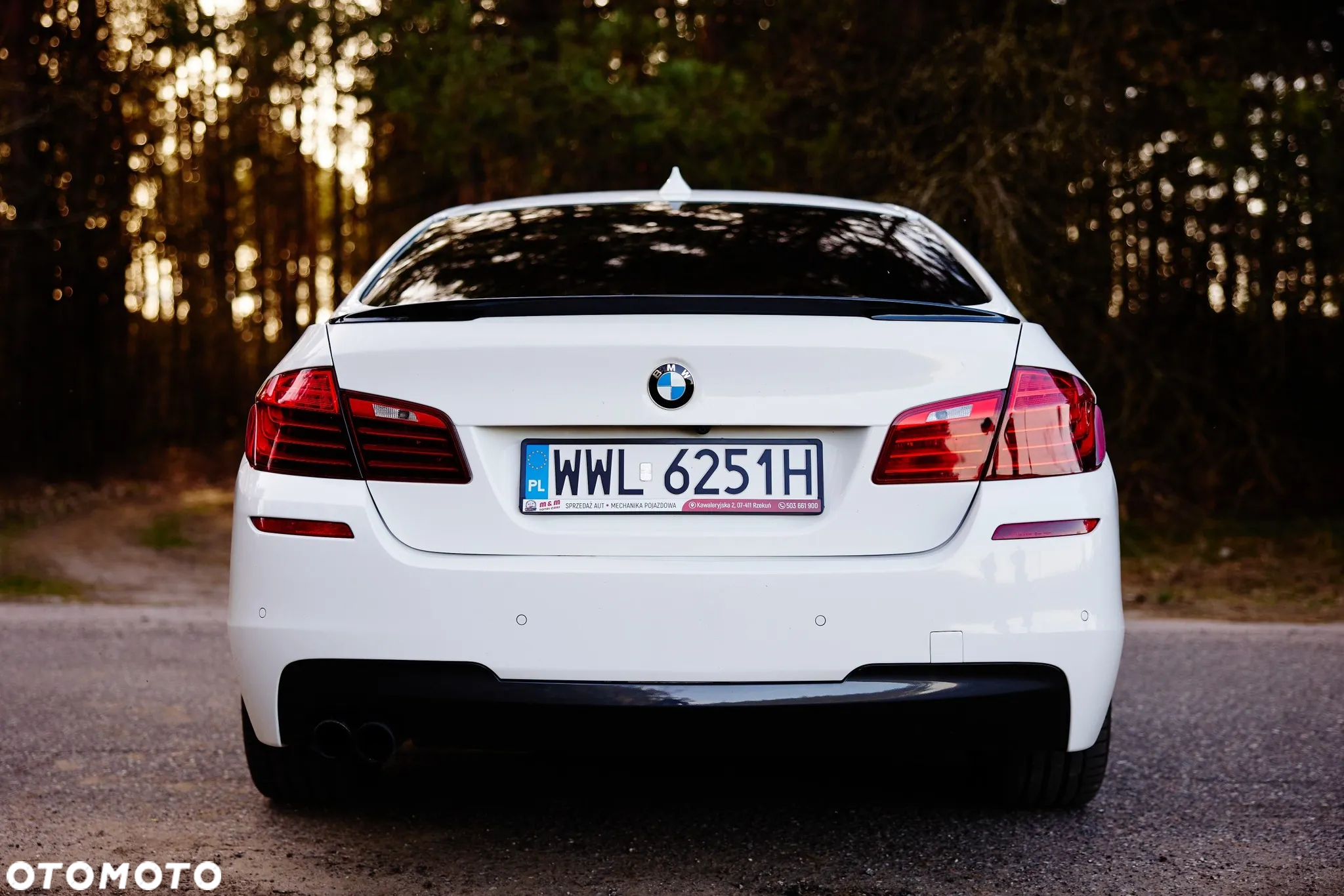 BMW Seria 5 528i xDrive Sport-Aut - 7