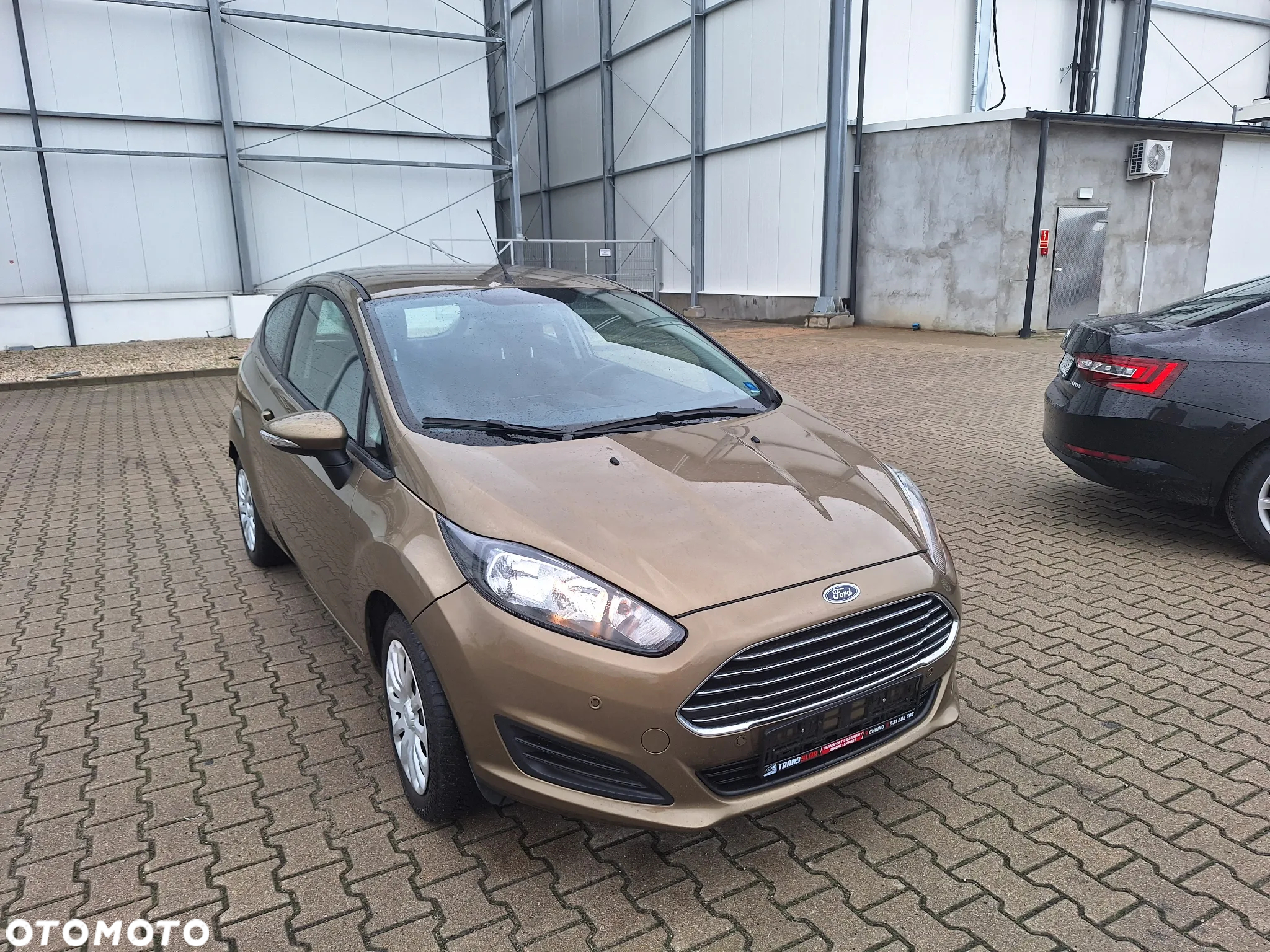 Ford Fiesta 1.25 Gold X - 11