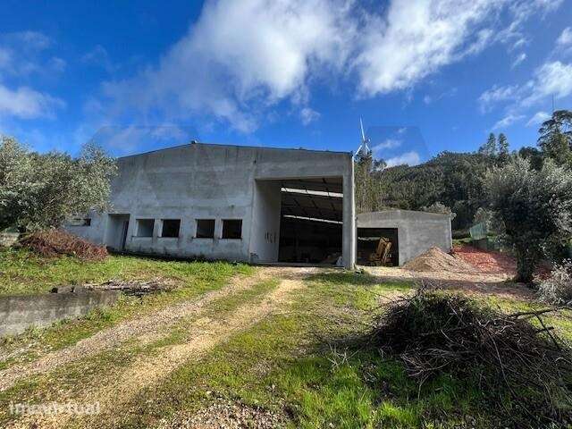 Oportunidade em Penacova: Pavilhão Industrial e Administrativo com Ter - Grande imagem: 4/37