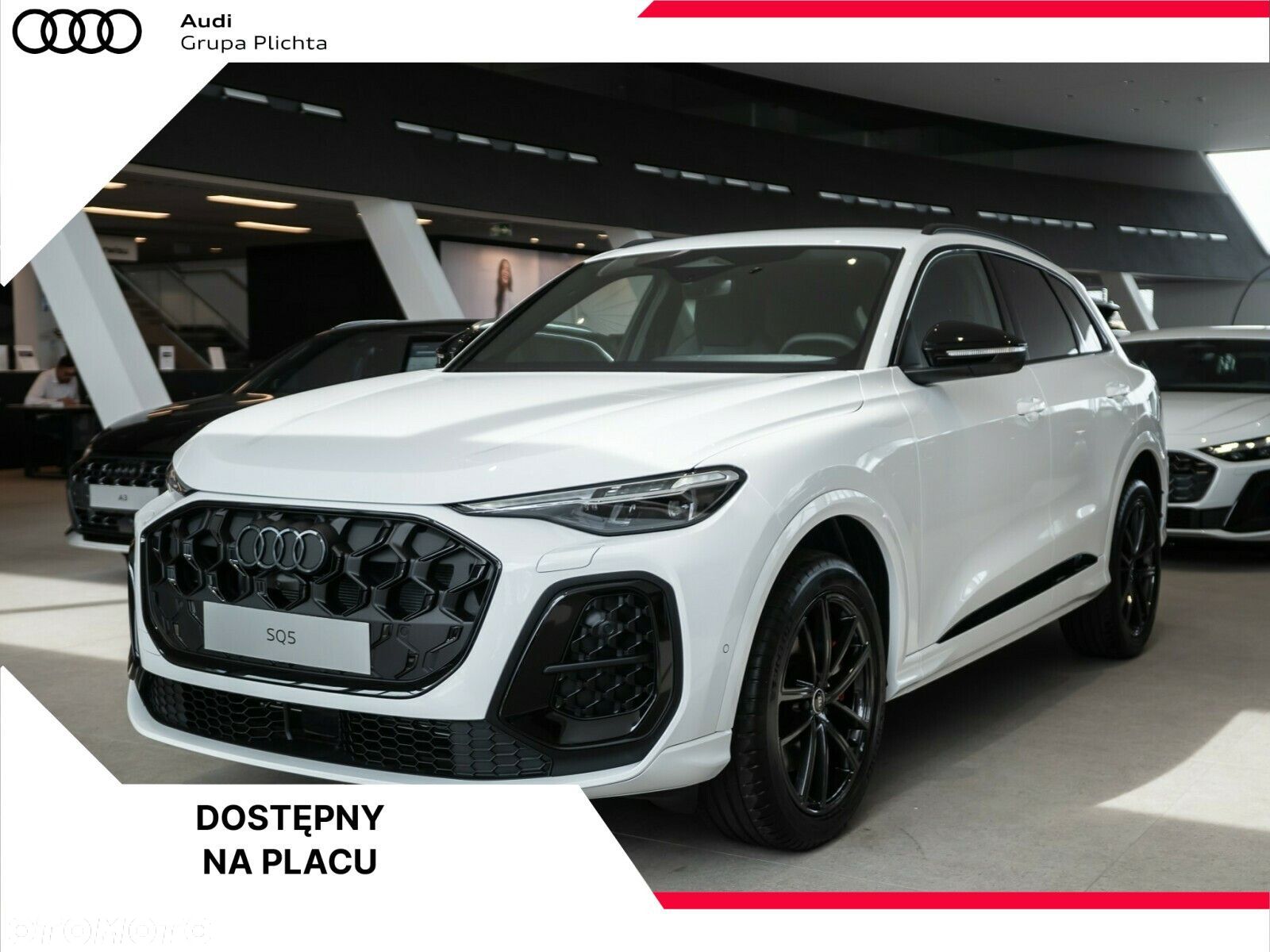Audi SQ5 - 1