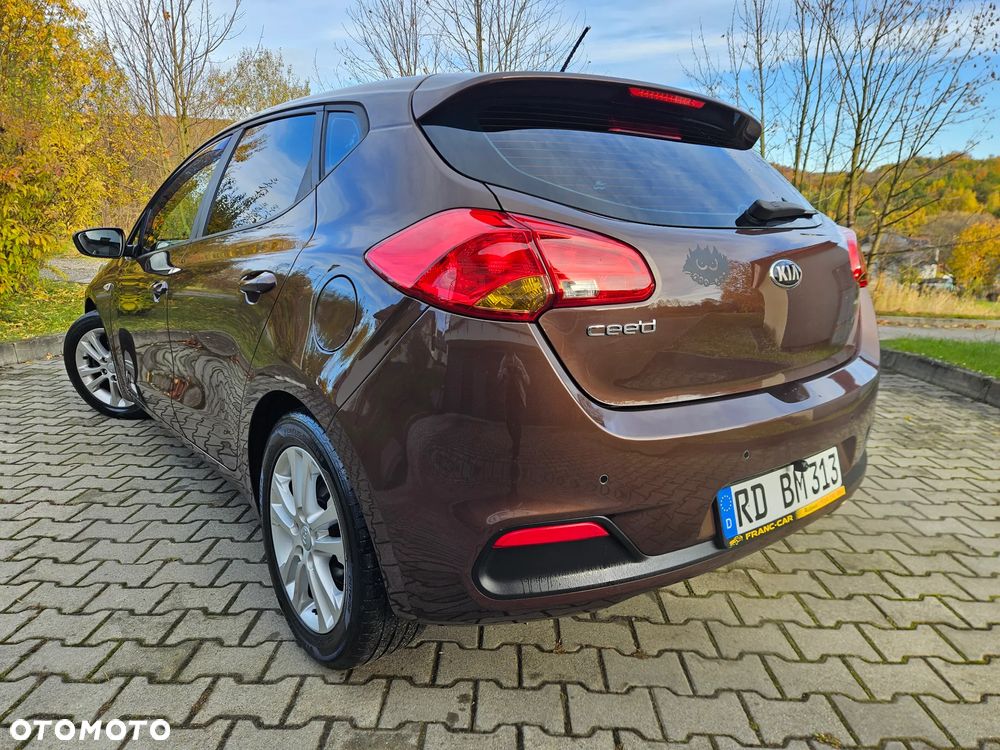 Kia Ceed 1.6 GDI Fifa World Cup Edition - 21