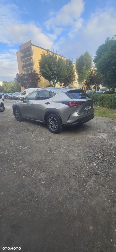 Lexus NX 450h+ Prestige AWD - 2