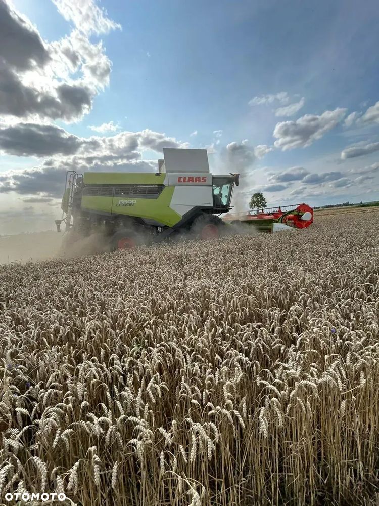 Claas Lexion 6600 + V770 - 3