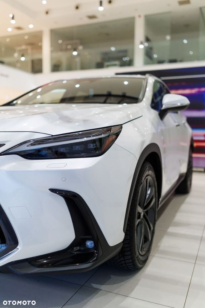 Lexus NX - 20