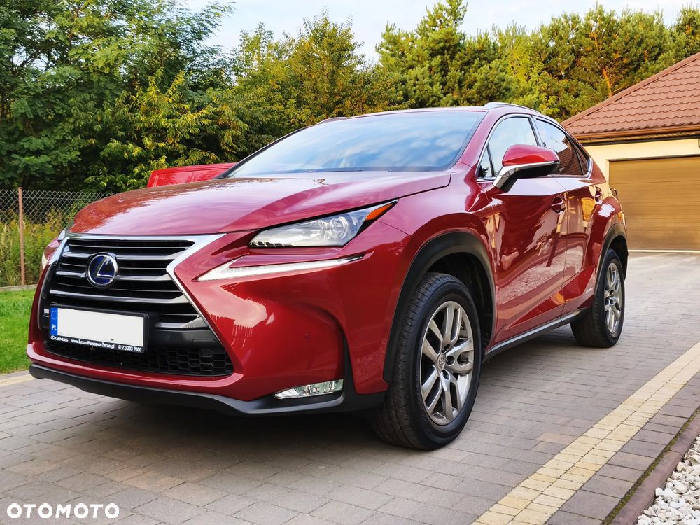 Lexus NX 300h Comfort AWD - 19