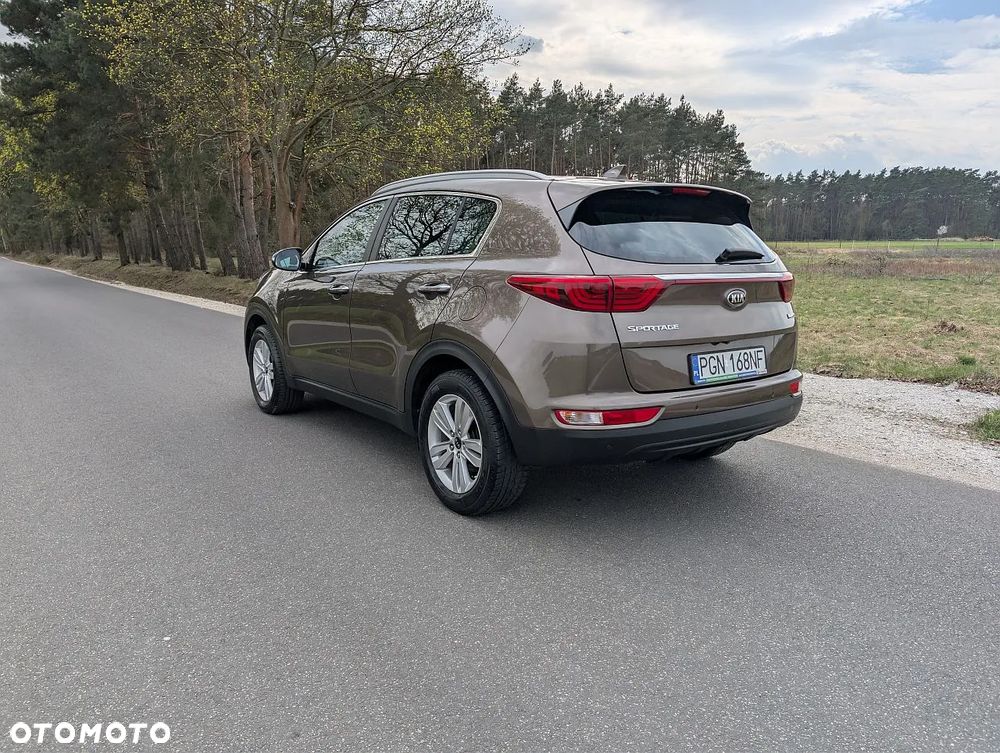 Kia Sportage 1.6 GDI L Business Line Plus 2WD - 16