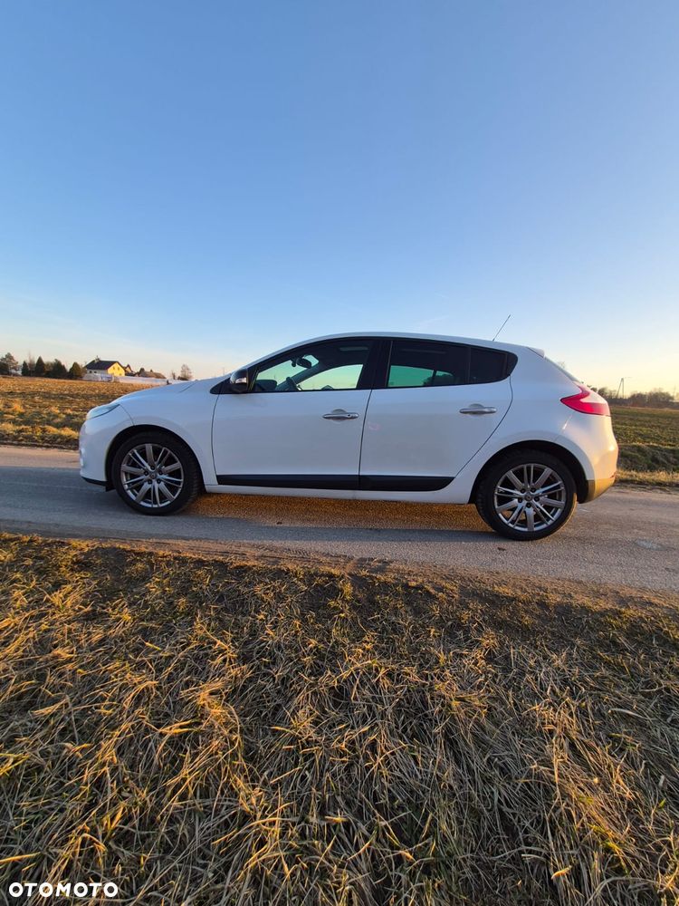Renault Megane 1.9 dCi Color Edition - 9