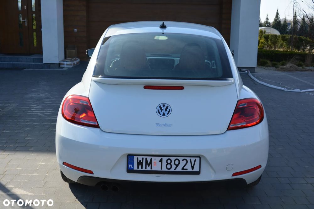 Volkswagen Beetle - 8