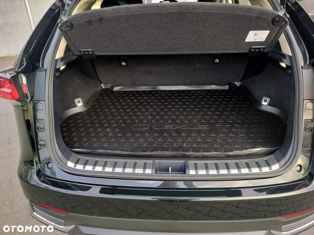 Lexus NX 300h Business Edition AWD - 36