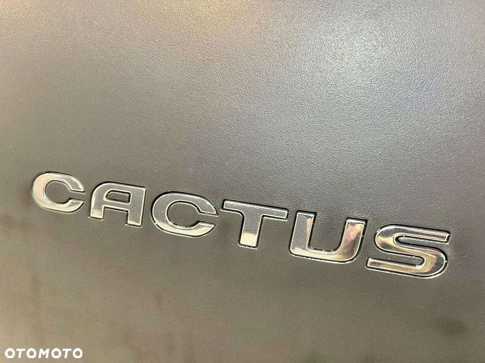 Citroën C4 Cactus PureTech 110 Stop&Start Shine - 12