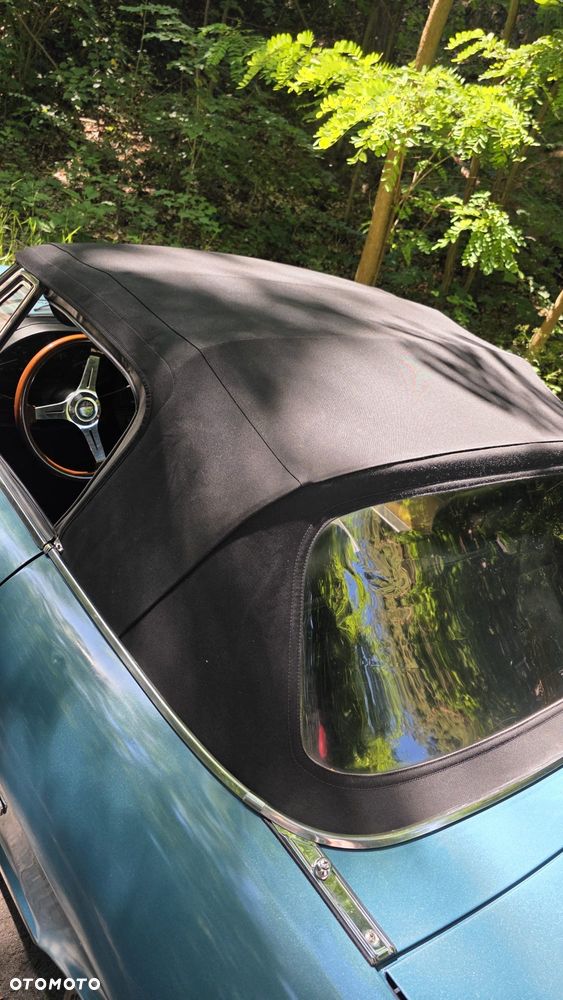 Alfa Romeo Spider - 20