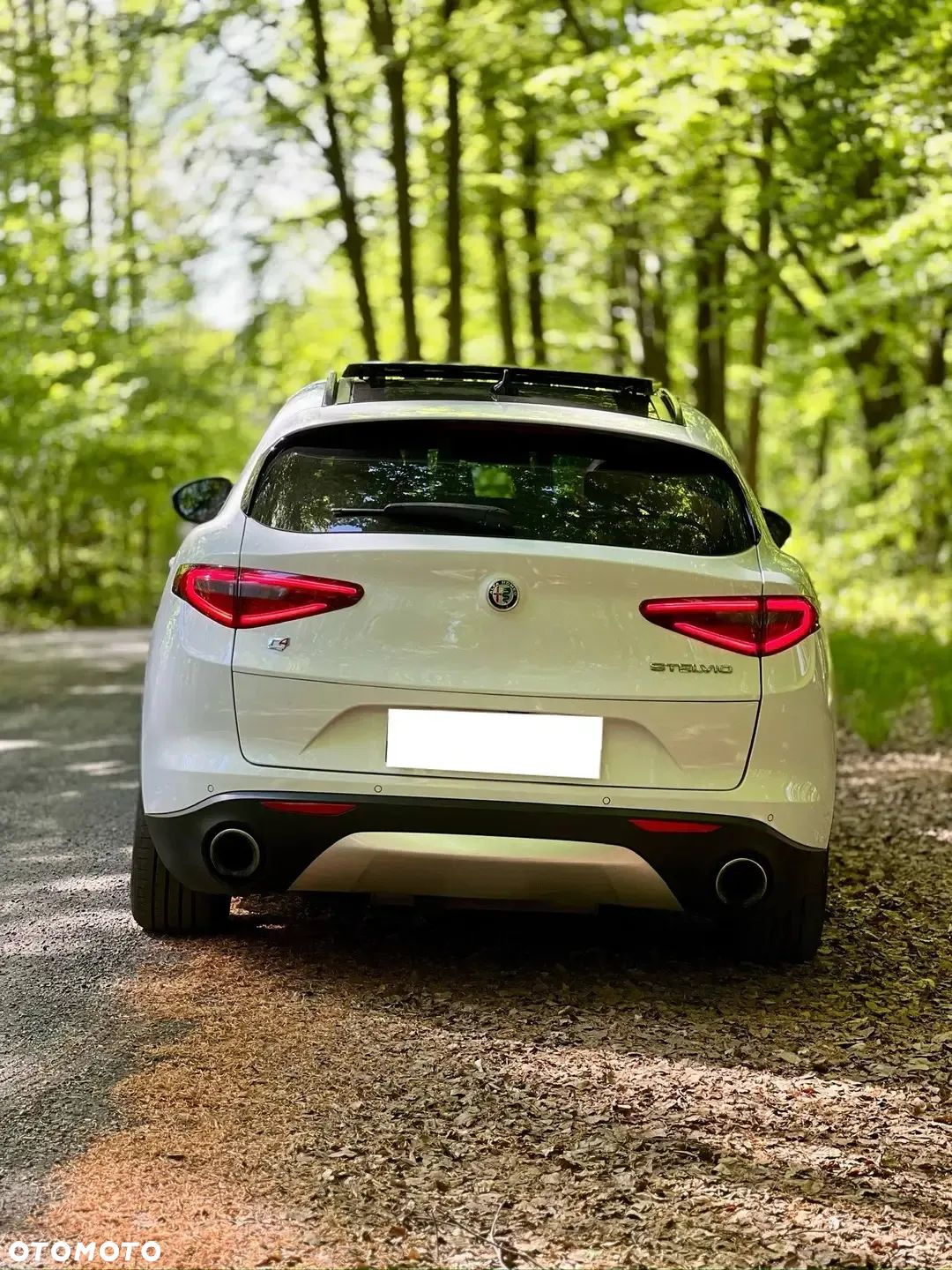 Alfa Romeo Stelvio 2.0 Turbo 16V AT8-Q4 Veloce Ti - 1