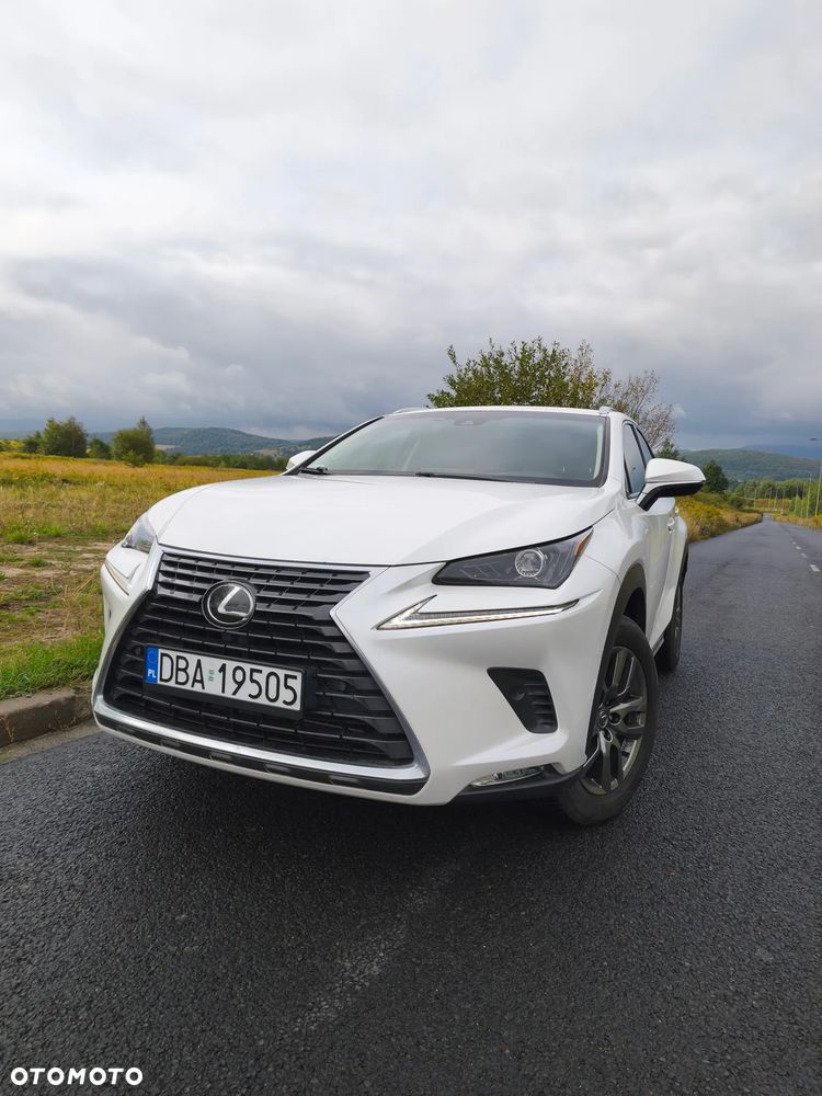 Lexus NX 300 Comfort AWD - 3