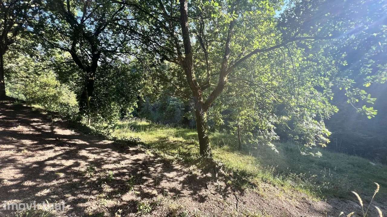 Terreno Rustico em Seramil - Grande imagem: 4/7