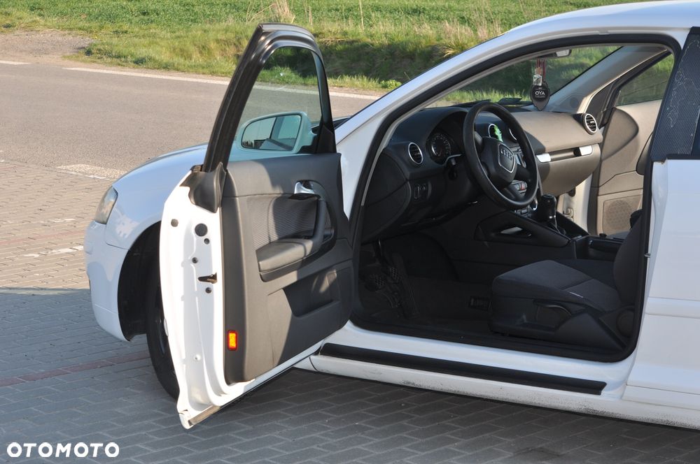Audi A3 3-drzwiowe 1.9 TDI DPF Ambiente - 10