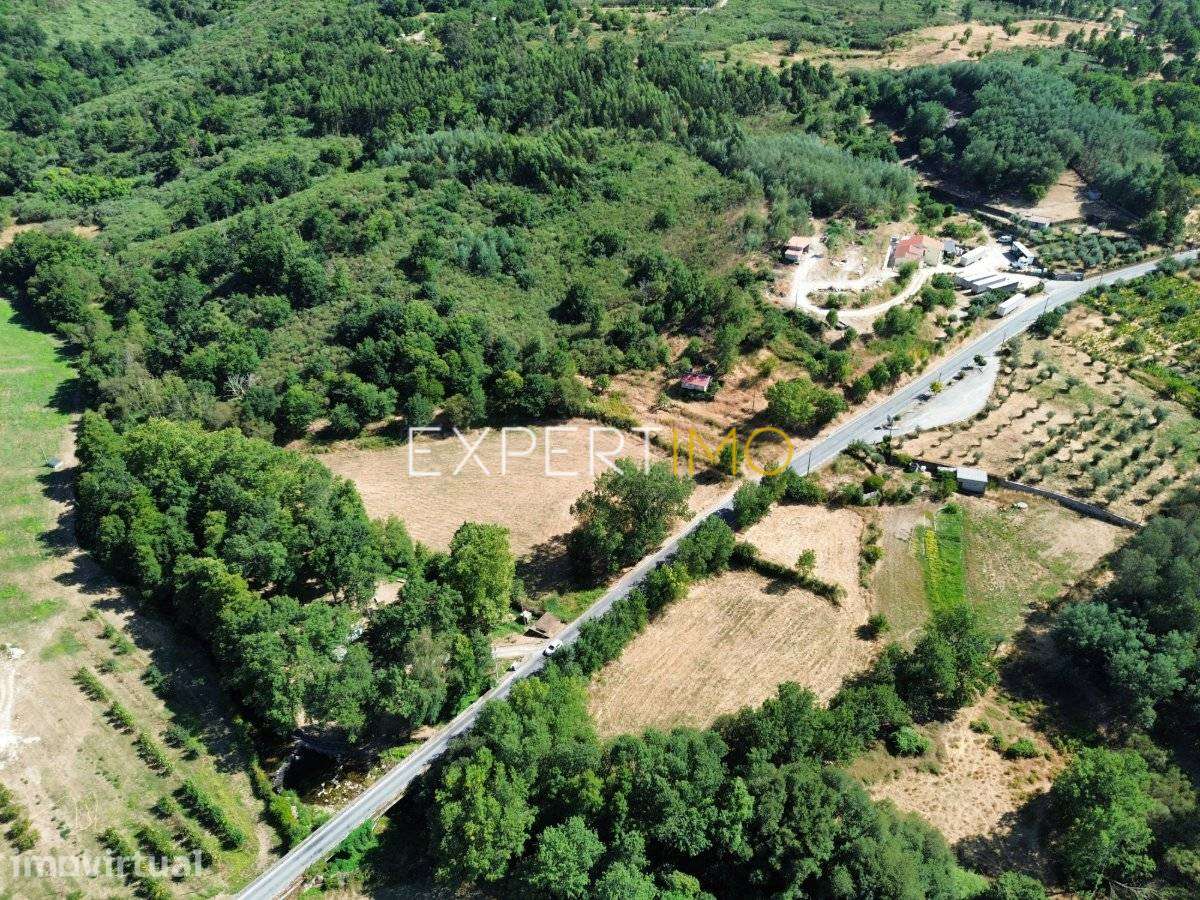 Quinta Mista de 4,8 Hectares com Edificação Urbana, Moinho... - Grande imagem: 2/34