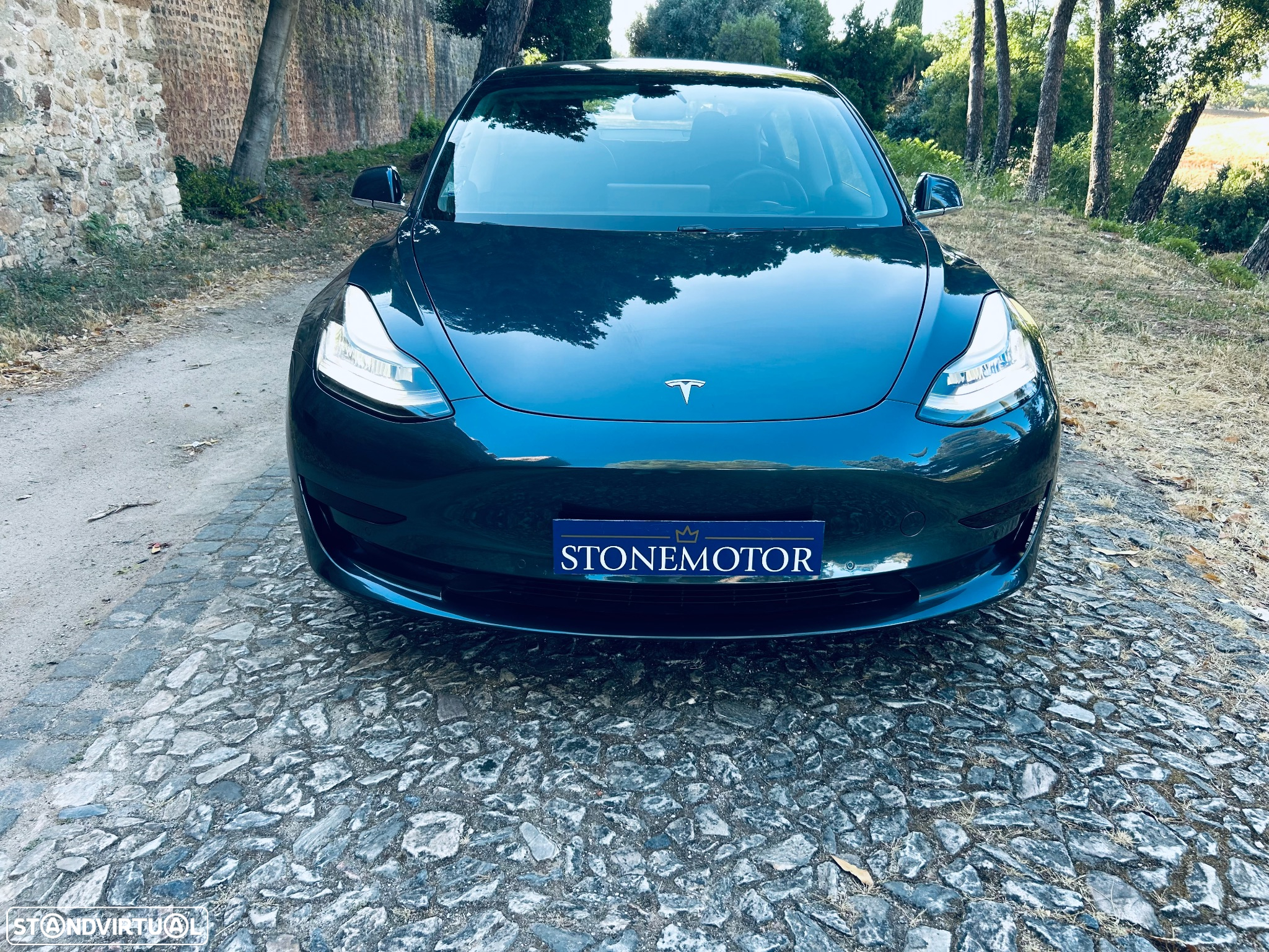 Tesla Model 3 Standard Range Plus RWD - 2