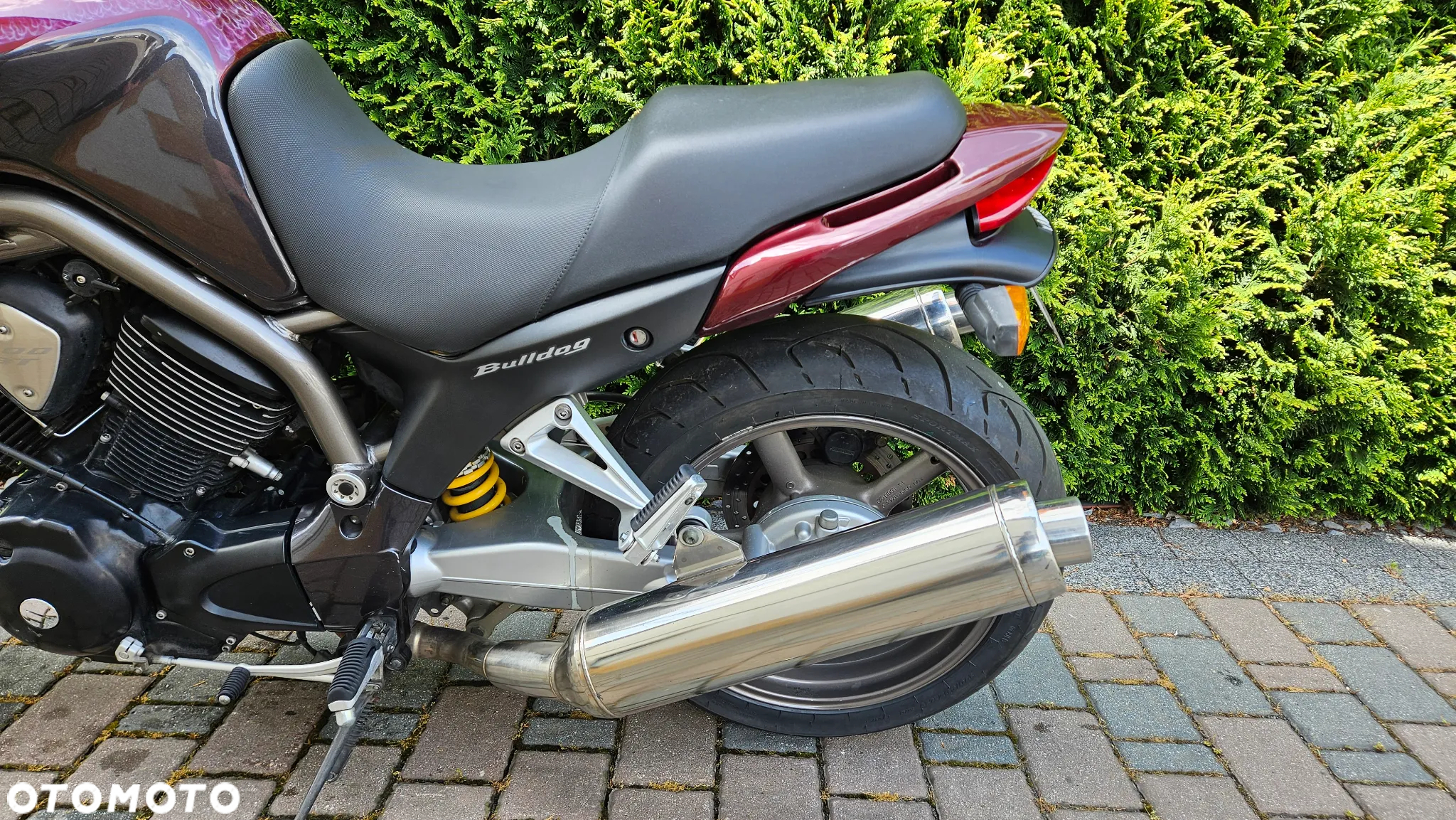 Yamaha Bulldog - 13
