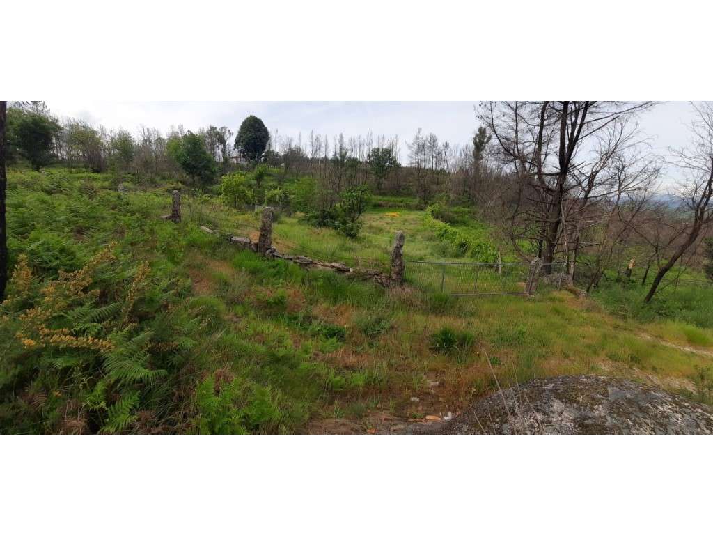 Terreno para venda em Mões - Castro Daire - Grande imagem: 2/24