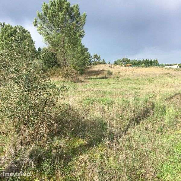 Terreno com 10080m2 - Grande imagem: 3/7