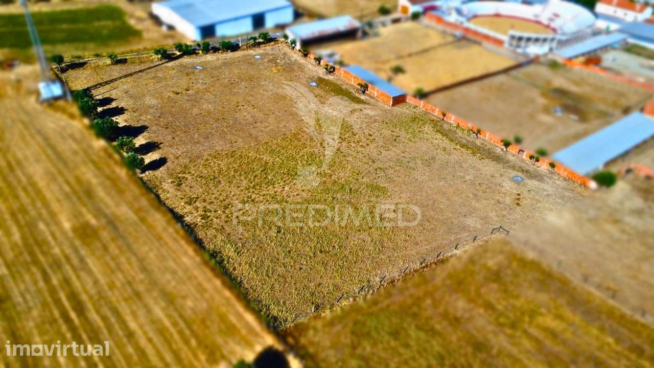 Terreno Urbano com 7.500 m² em São Manços | Potencial de Construção... - Grande imagem: 3/8