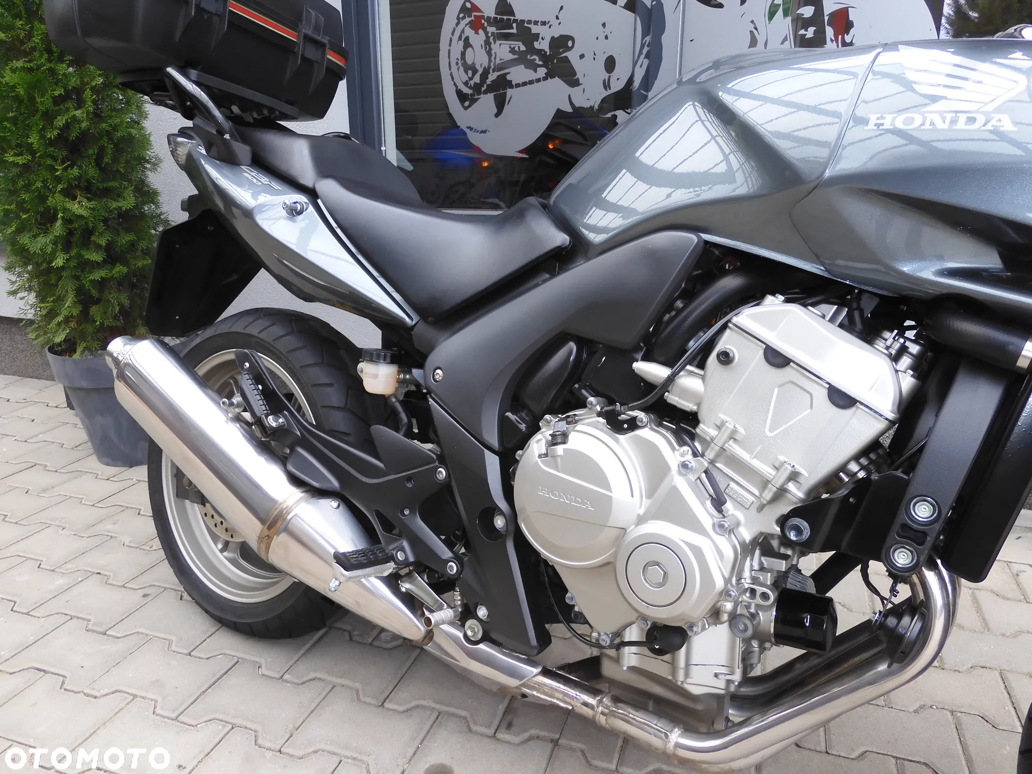 Honda CBF - 7
