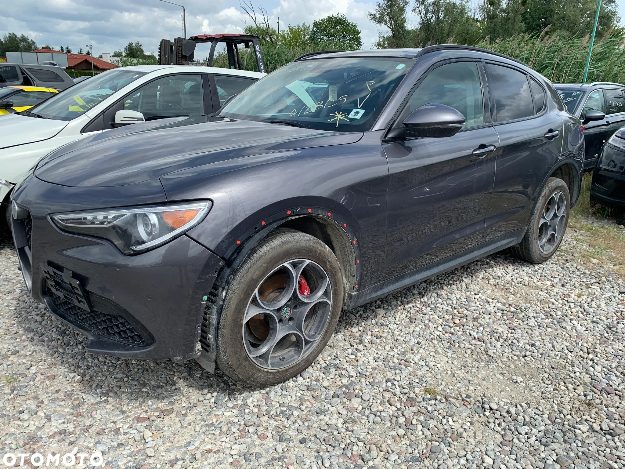 Alfa Romeo Stelvio 2.0 Turbo TI Q4 - 8