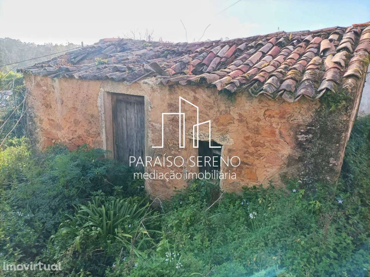 Moradia p/ restauro em Ossela - Grande imagem: 3/6