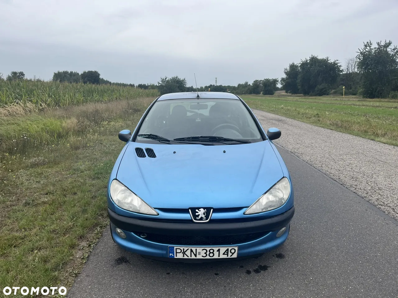 Peugeot 206 - 11