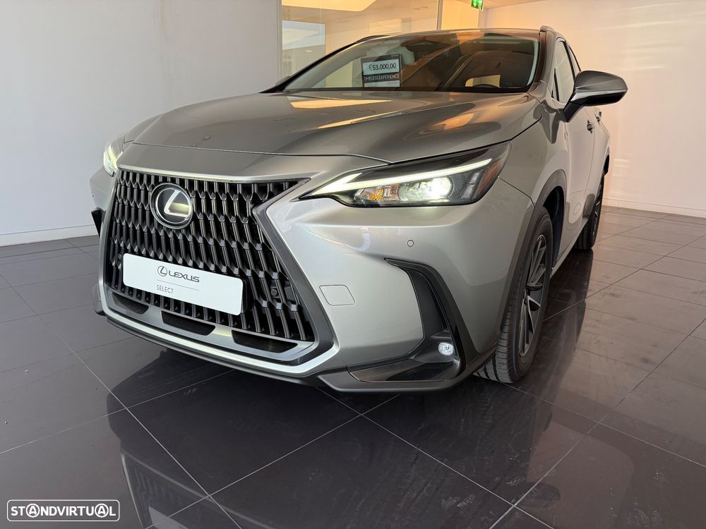 Lexus NX 450h+ Executive Plus - 12