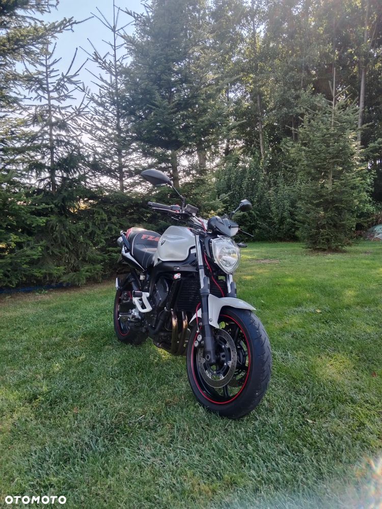 Yamaha FZ6 - 4
