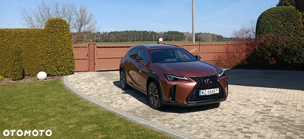 Lexus UX 300h F Sport Design - 3