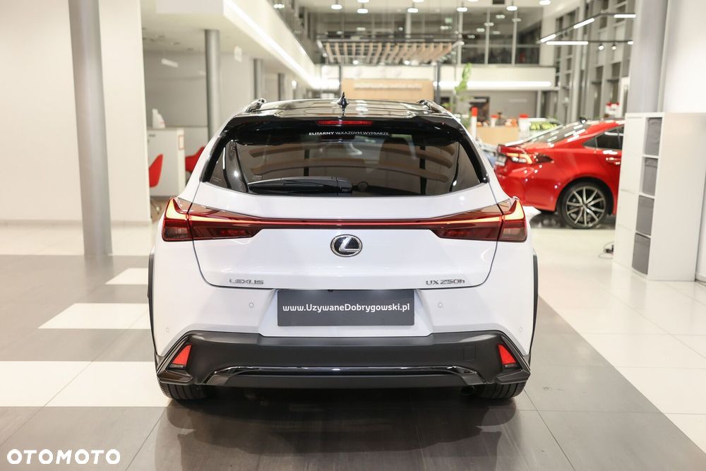 Lexus UX 250h GPF F Sport Design 2WD - 6
