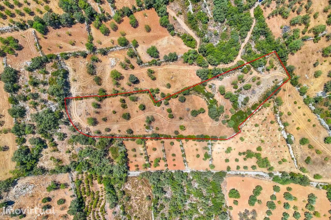 Terreno Rústico com 10280m2, localizado no Serro de Manuel Viegas, Azi - Grande imagem: 5/16