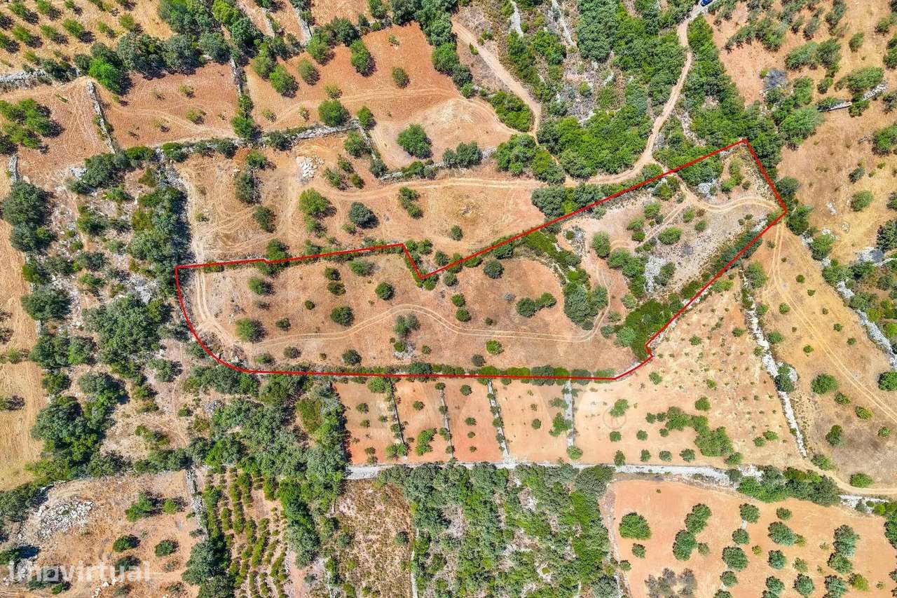 Terreno Rústico com 10280m2, localizado no Serro de Manuel Viegas, Azi - Grande imagem: 5/16